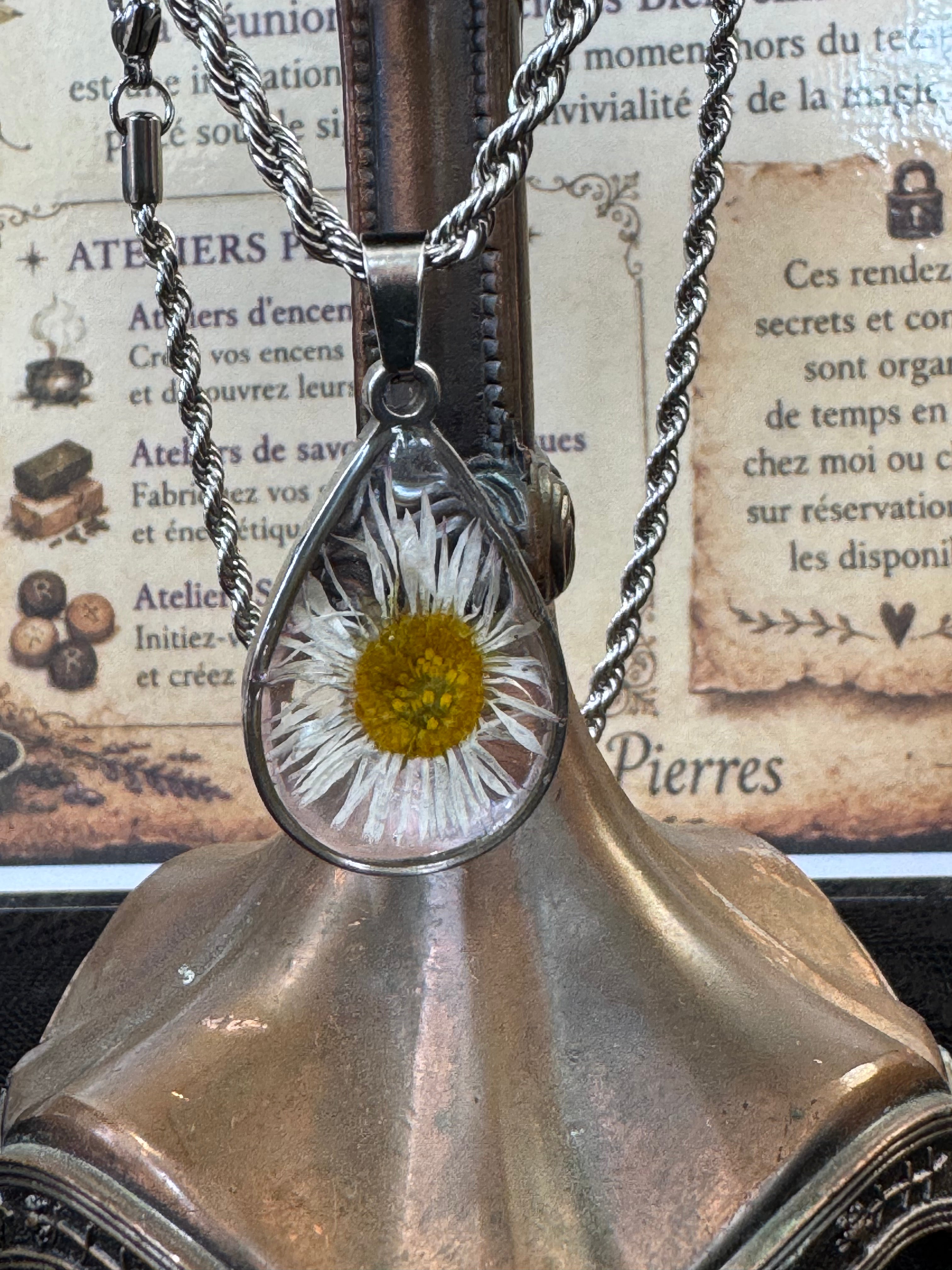 Larme de marguerite