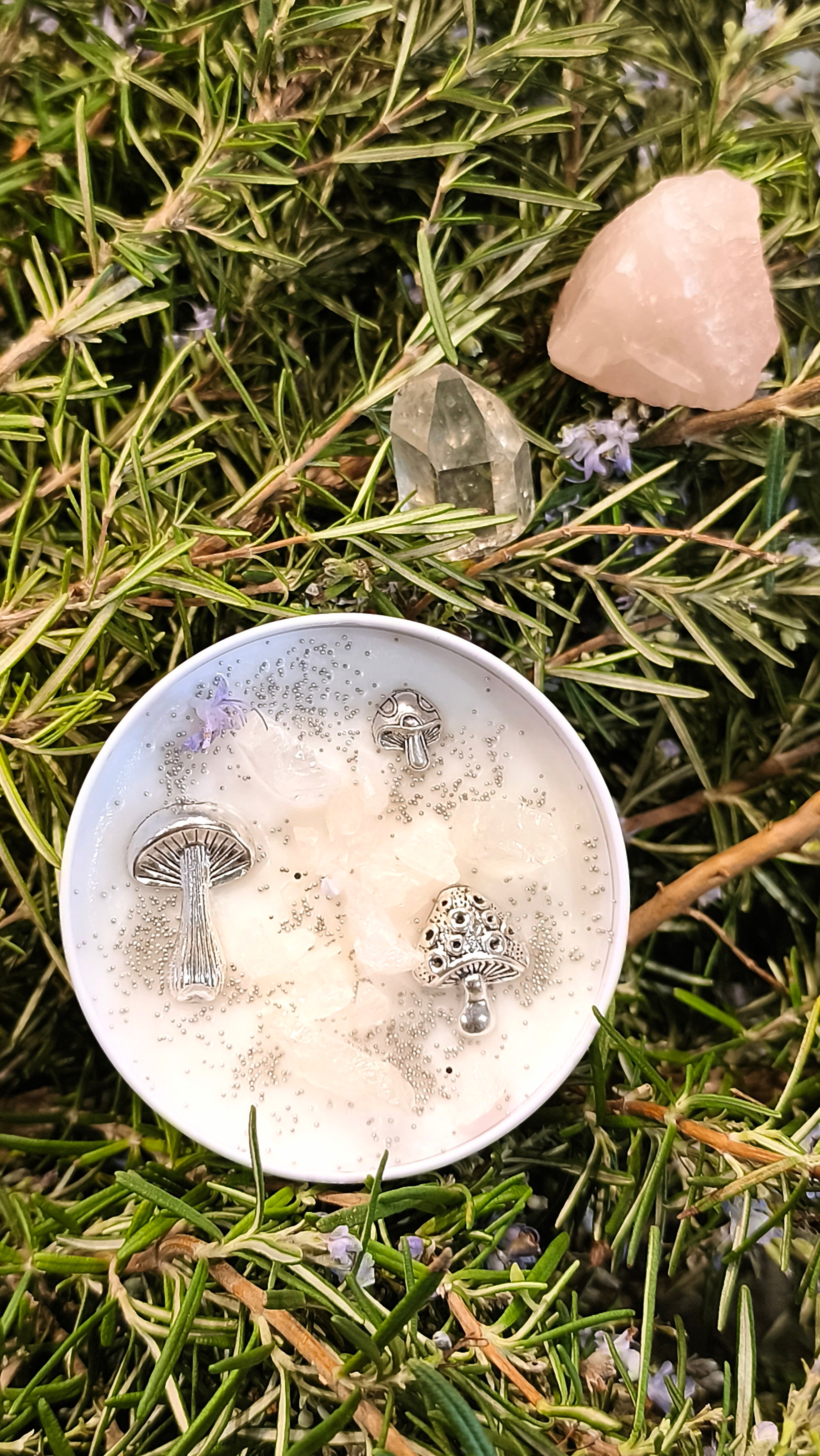 Forêt de Cristal